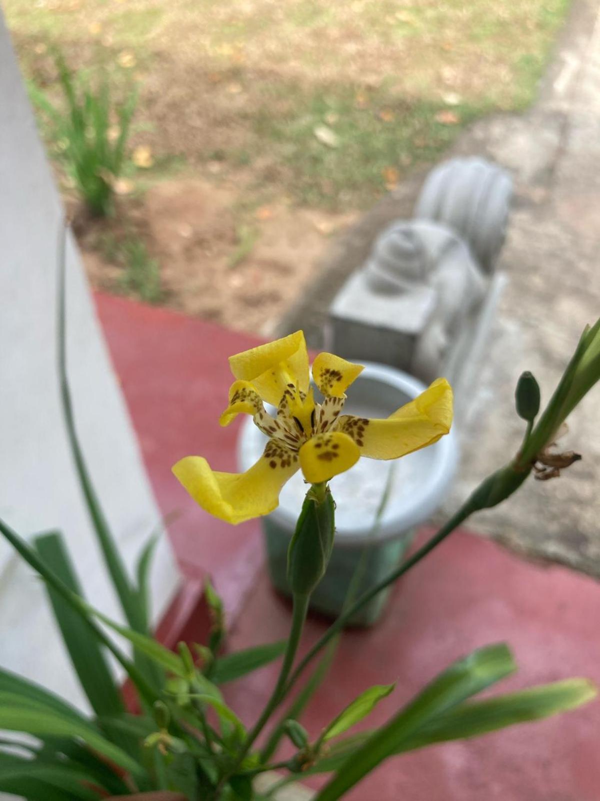 Ruwanwali Apartment Anuradhapura