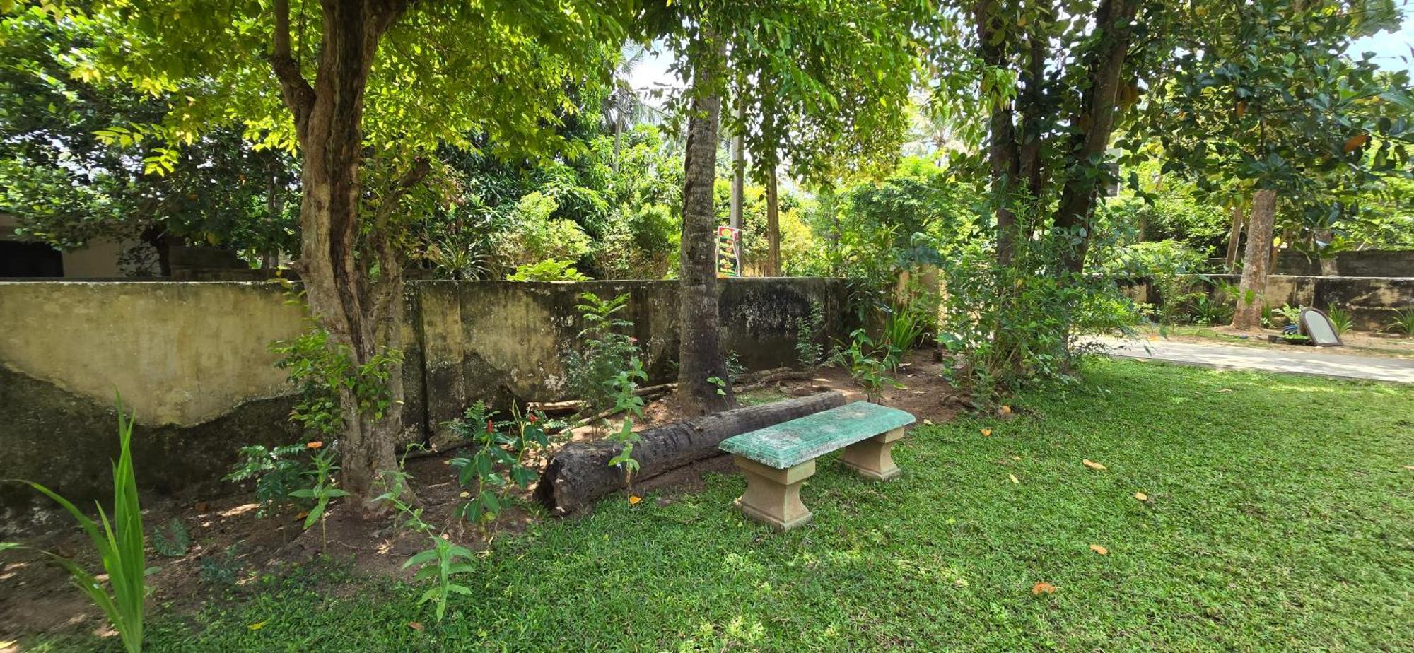 Ruwanwali